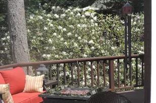 202 Lennon Rd, Greentown, PA 18426 - Photo 54