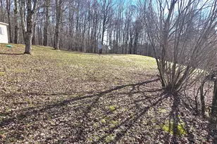183 Galloway Rd, Equinunk, PA 18417 - Photo 34