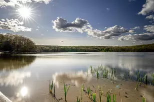 258 W Lakeview Rd, Lackawaxen, PA 18435 - Photo 80