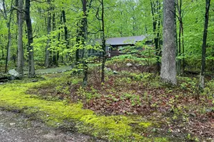 259 Florence Trail, Hawley, PA 18428 - Photo 98