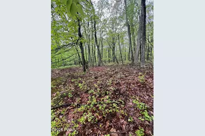 259 Florence Trail, Hawley, PA 18428 - Photo 88