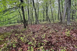 259 Florence Trail, Hawley, PA 18428 - Photo 88