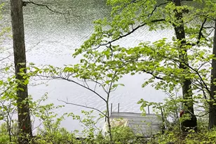 259 Florence Trail, Hawley, PA 18428 - Photo 94