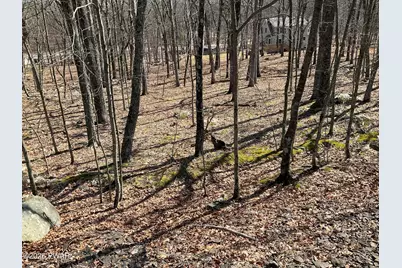Lot 290 Mountain Top Drive, Dingmans Ferry, PA 18328 - Photo 4