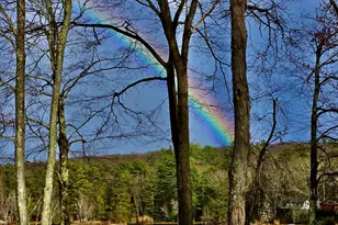 147 W Shore Rd, Shohola, PA 18458 - Photo 60