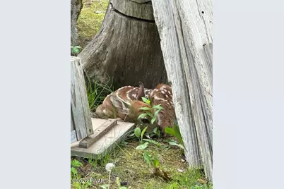 325 Sunset Shore Drive, Hawley, PA 18428 - Photo 50