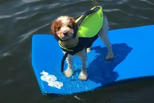 325 Sunset Shore Dr, Hawley, PA 18428 - Photo 56