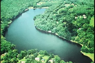 110 Timber Ridge Dr, Newfoundland, PA 18445 - Photo 92