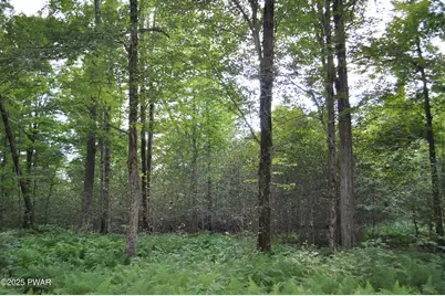 Bryn Mawr Road, Honesdale, PA 18431 - Photo 10