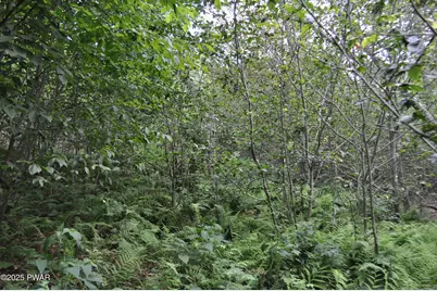 Bryn Mawr Road, Honesdale, PA 18431 - Photo 18