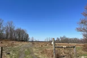 Bryn Mawr Rd, Honesdale, PA 18431 - Photo 1