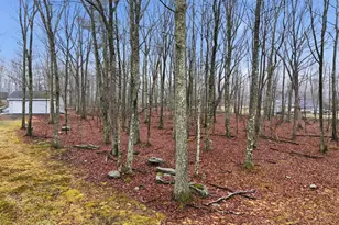 146 Tink Wig Dr, Hawley, PA 18428 - Photo 72