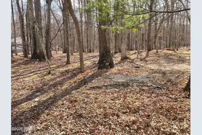 174 Cottonwood Drive, Hawley, PA 18428 - Photo 4