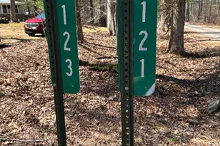 123 Mosier Rd, Dingmans Ferry, PA 18328 - Photo 62