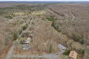 803 Round Up Ct, Lords Valley, PA 18428 - Photo 106
