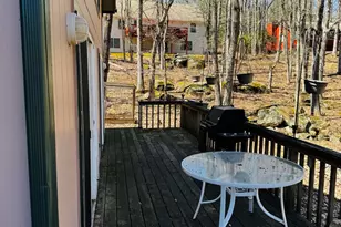 803 Round Up Ct, Lords Valley, PA 18428 - Photo 58