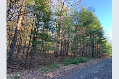 Center Road, Dingmans Ferry, PA 18328 - Photo 8