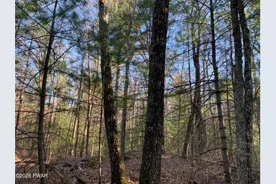 Center Road, Dingmans Ferry, PA 18328 - Photo 18