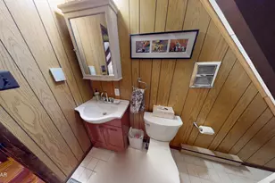 100 Cottonwood Dr, Lords Valley, PA 18428 - Photo 62