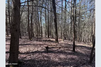 Steep Hill Road, Beach Lake, PA 18405 - Photo 1