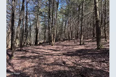 Steep Hill Road, Beach Lake, PA 18405 - Photo 2
