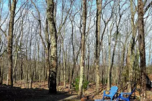 300 Forest Dr, Lords Valley, PA 18428 - Photo 20