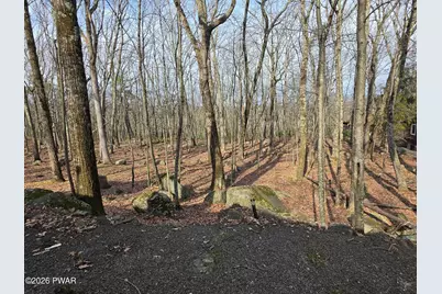 300 Forest Drive, Lords Valley, PA 18428 - Photo 20