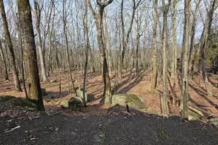300 Forest Dr, Lords Valley, PA 18428 - Photo 20
