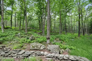 259 LC Larsen Dr, Covington Township, PA 18424 - Photo 10
