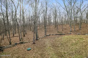 297 Gold Finch Rd, Bushkill, PA 18324 - Photo 42