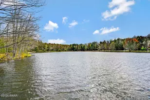 21 Halawa Lane, Newfoundland, PA 18445 - Photo 14