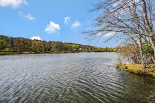 21 Halawa Lane, Newfoundland, PA 18445 - Photo 88