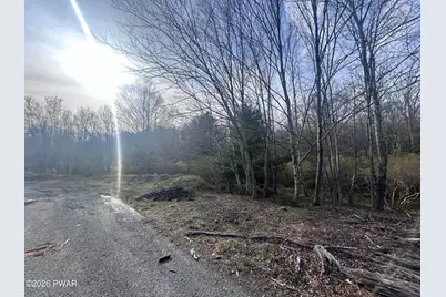 Fox Road, Dingmans Ferry, PA 18328 - Photo 6