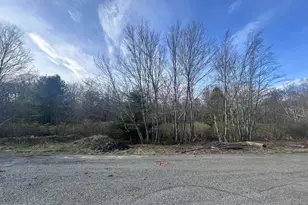 Fox Rd, Dingmans Ferry, PA 18328 - Photo 1