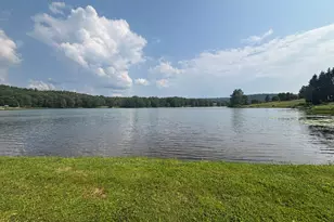76 Meadowland Dr, Damascus, PA 18415 - Photo 38