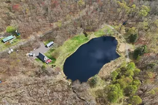 126 Woodland Dr, Moscow, PA 18444 - Photo 2