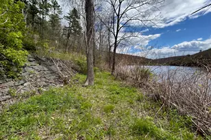 12 Homeyer Rd, Lumberland, NY 12780 - Photo 44