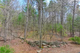 12 Homeyer Rd, Lumberland, NY 12780 - Photo 28