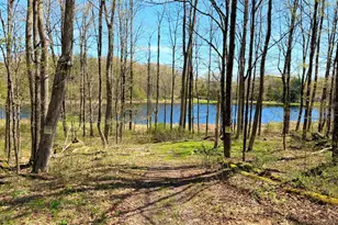 167 Wildwood Trl, Pleasant Mount, PA 18453 - Photo 56