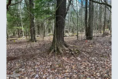 Lot 826 Fawn Rd and Lot 824 Pine Creek Road, Hawley, PA 18428 - Photo 16