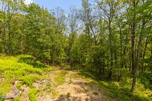 119 Canoe Brook Dr, Hawley, PA 18428 - Photo 106
