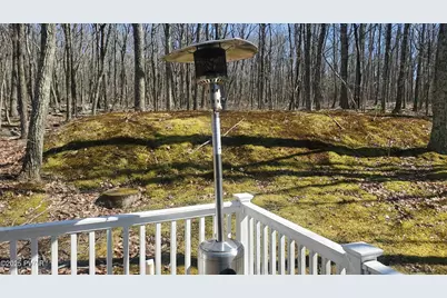 313 Forest Drive, Lords Valley, PA 18428 - Photo 24