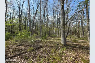 807 Dogwood Court, Lords Valley, PA 18428 - Photo 28