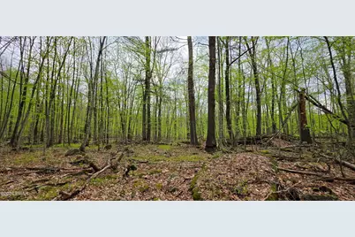 Lot 23.21 State Route 97, Narrowsburg, NY, NY 12764 - Photo 18