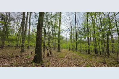 Lot 23.21 State Route 97, Narrowsburg, NY, NY 12764 - Photo 20