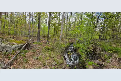 Lot 23.21 State Route 97, Narrowsburg, NY, NY 12764 - Photo 22