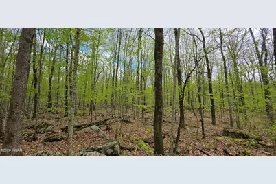 Lot 23.21 State Route 97, Narrowsburg, NY, NY 12764 - Photo 10