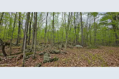 Lot 23.21 State Route 97, Narrowsburg, NY, NY 12764 - Photo 8