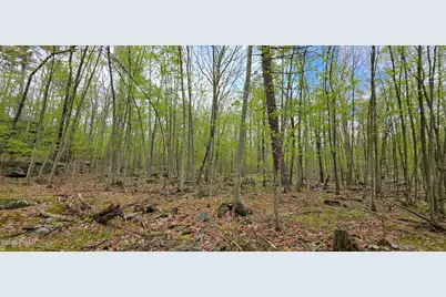 Lot 23.21 State Route 97, Narrowsburg, NY, NY 12764 - Photo 12