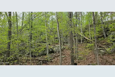 Lot 23.21 State Route 97, Narrowsburg, NY, NY 12764 - Photo 14